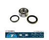 BTA H15008BTA Wheel Bearing Kit